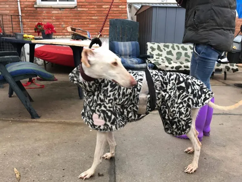 received 1399017383483625