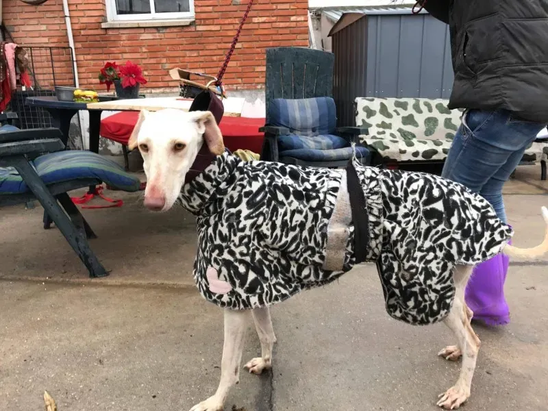 received 1399017406816956