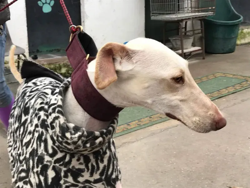 received 1399017463483617