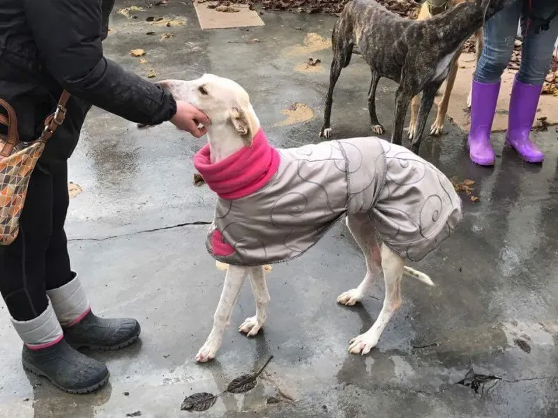 received 1413482485370448