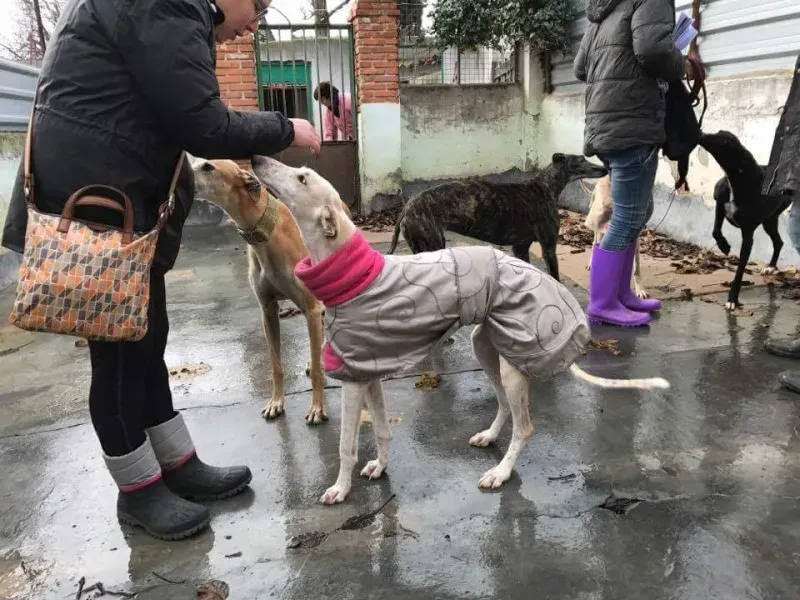 received 1413482782037085 1