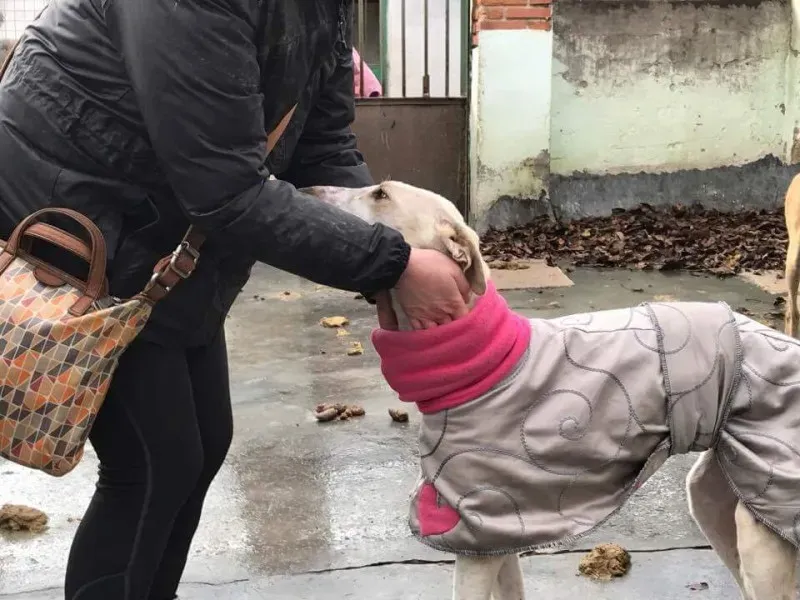 received 1413482905370406