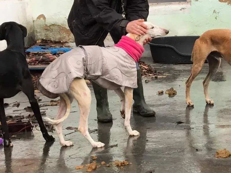 received 1413483072037056