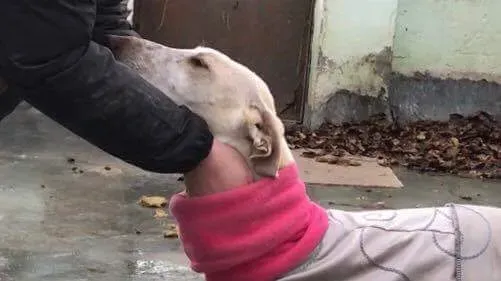 received 1413483985370298