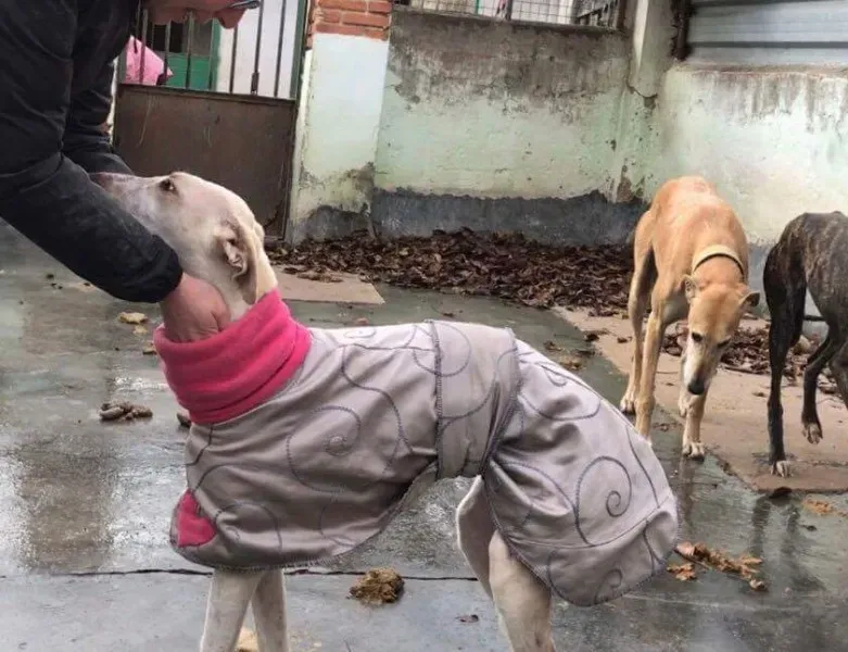 received 1413484028703627