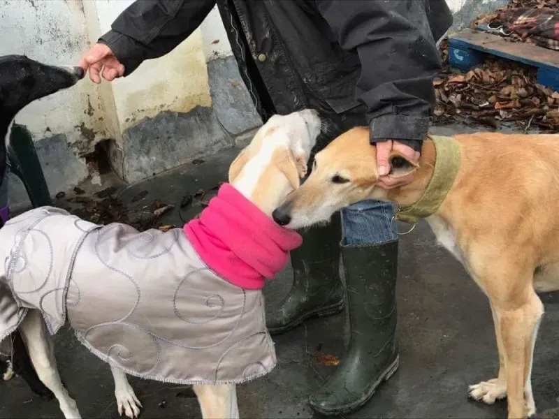 received 1413484048703625