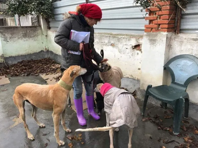 received 1413484082036955