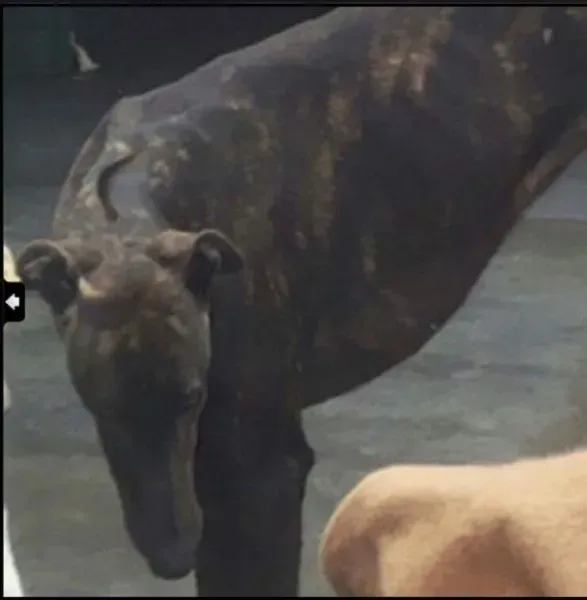 received 1431974390187924