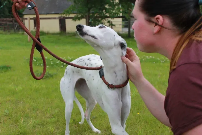 received 1445408892217376