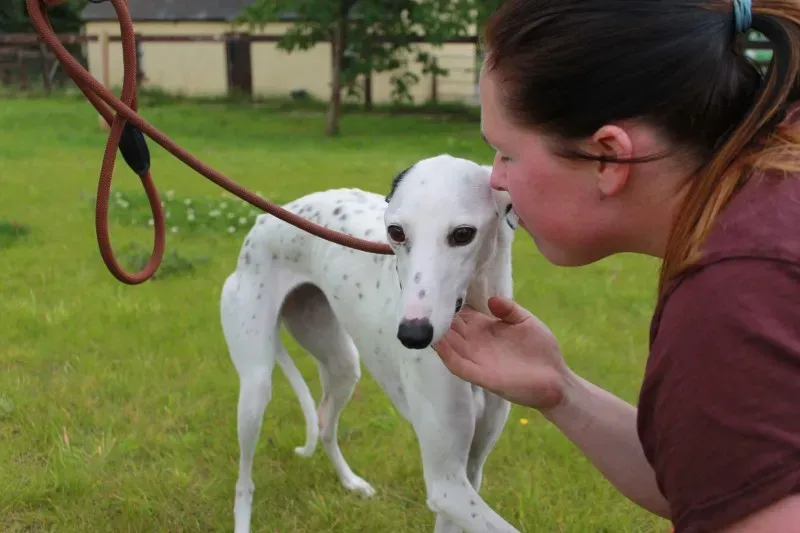 received 1445409012217364