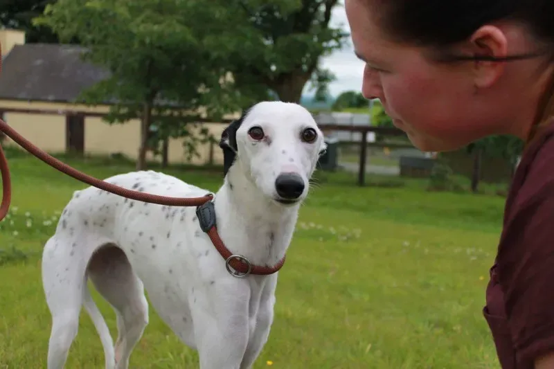 received 1445409115550687