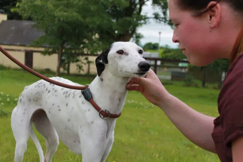 received 1445409248884007