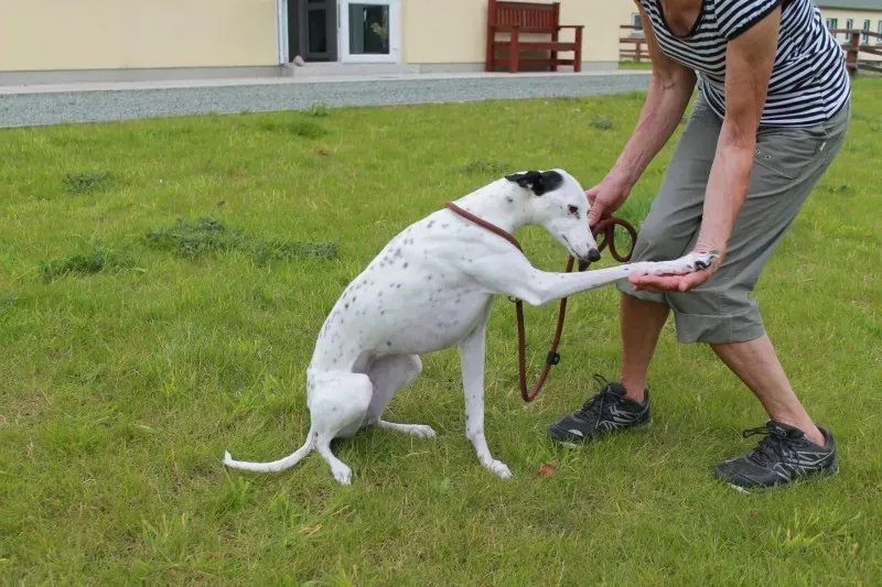 received 1445409878883944