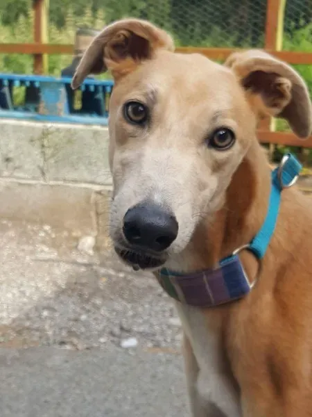 received 1463971113694487