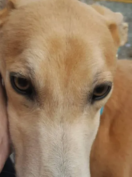 received 1463971647027767