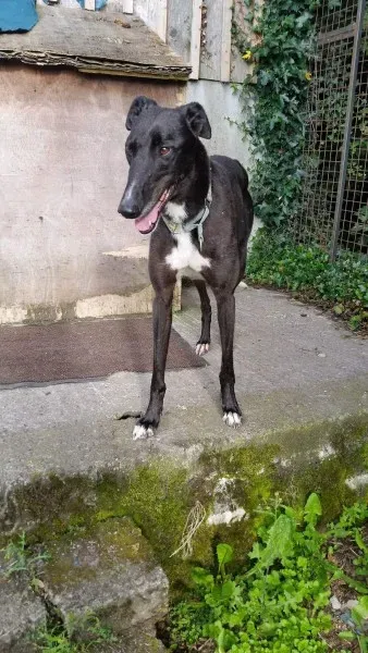 received 1464710996953832