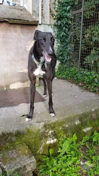 received 1464711220287143