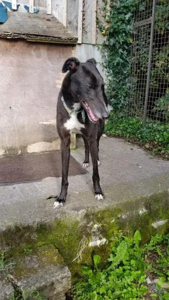 received 1464711260287139