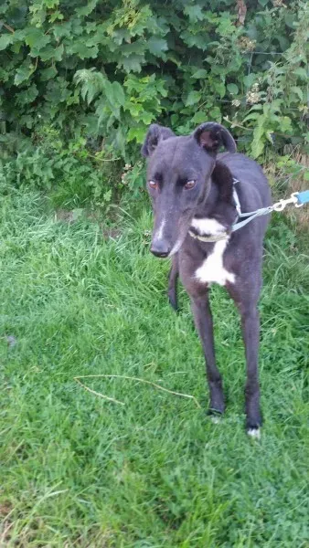 received 1464711696953762