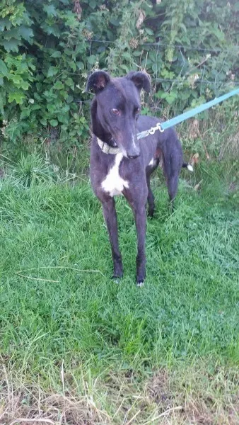 received 1464711913620407