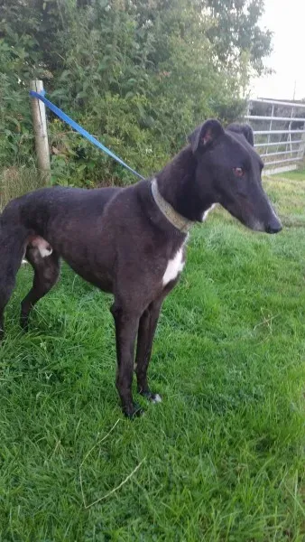 received 1464712016953730