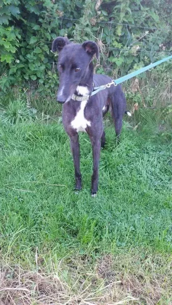 received 1464712106953721