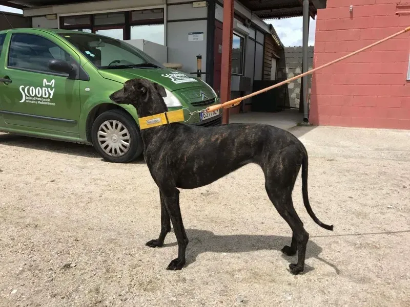 received 1472817336103629