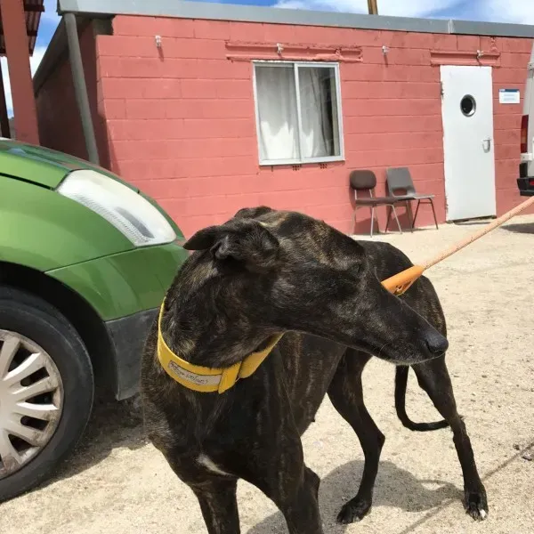 received 1472817726103590