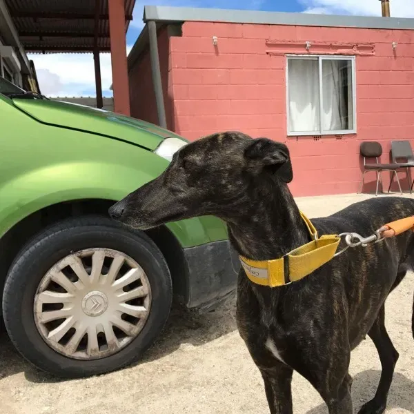 received 1472818092770220