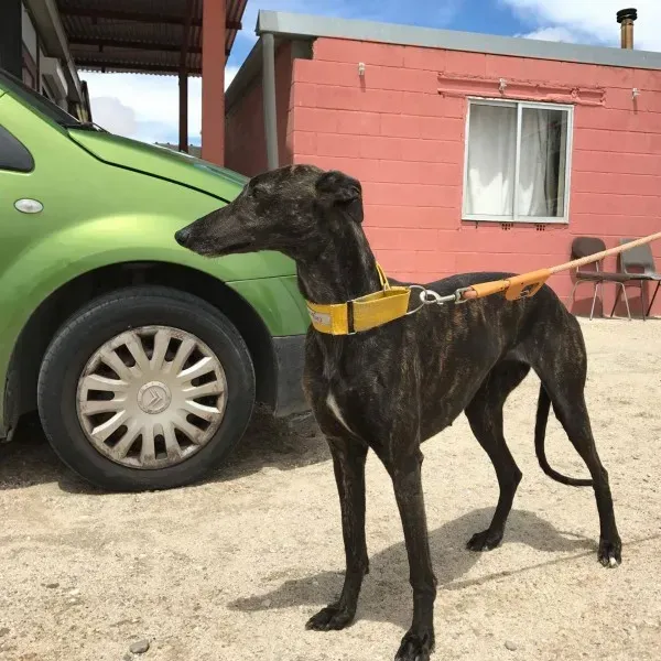 received 1472819316103431