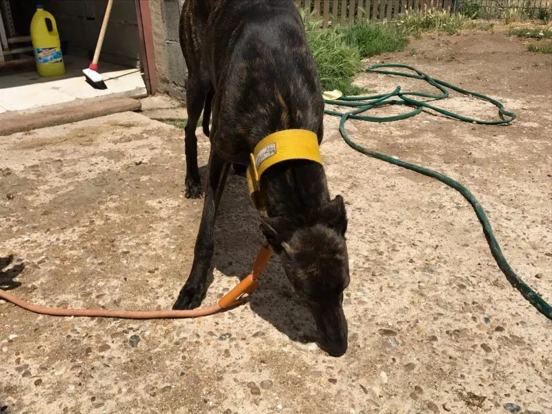 received 1472819792770050