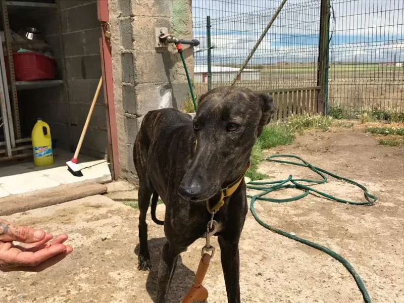 received 1472819862770043