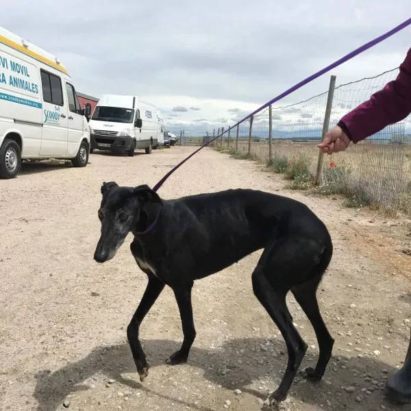 received 1472820039436692