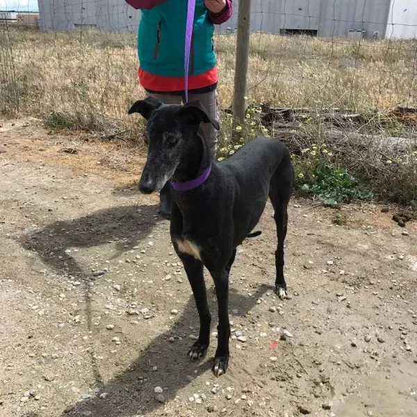 received 1472820169436679