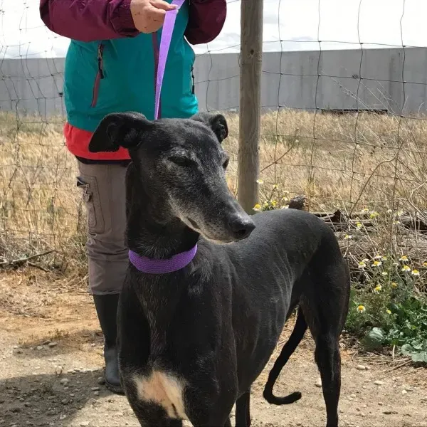 received 1472820239436672