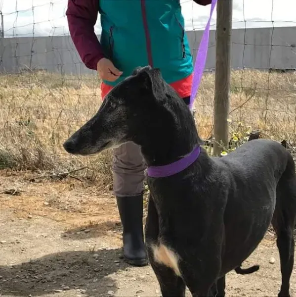 received 1472820486103314