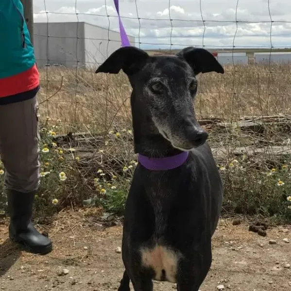 received 1472820536103309