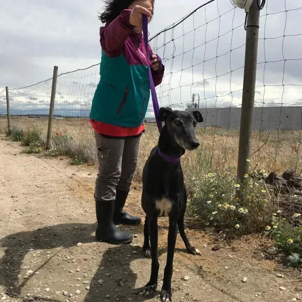 received 1472820712769958