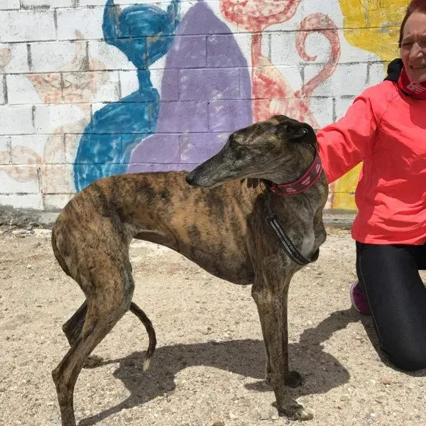 received 1472820779436618