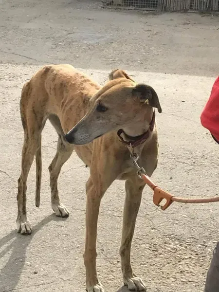 received 1474772812574748