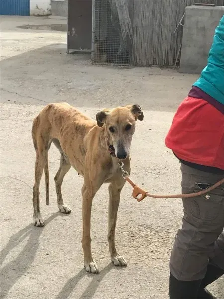 received 1474772905908072 1