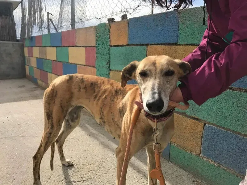 received 1474773229241373