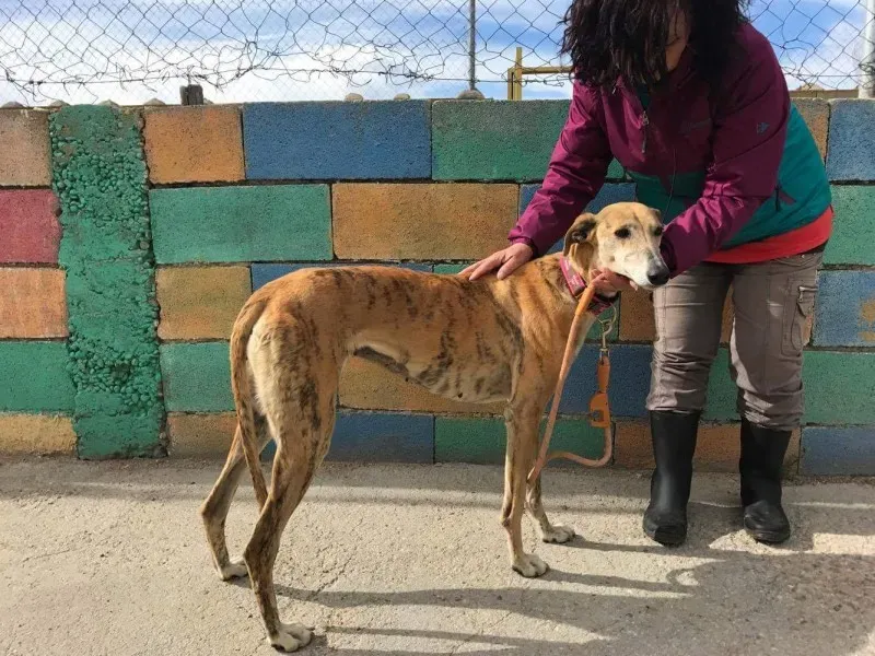 received 1474773325908030