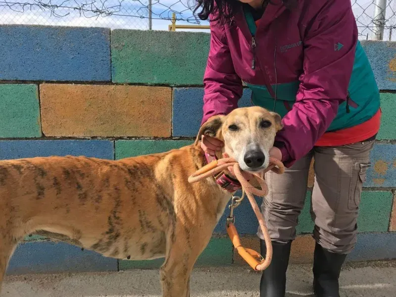 received 1474773402574689