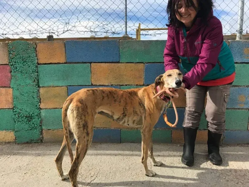 received 1474773489241347