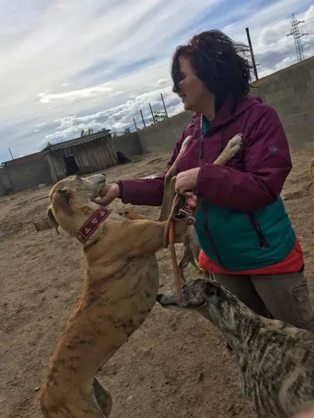 received 1474775352574494