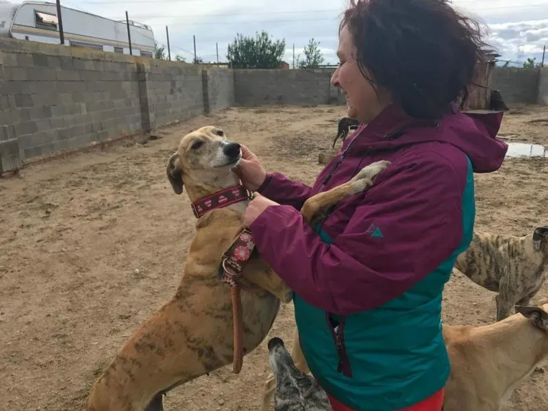 received 1474775422574487