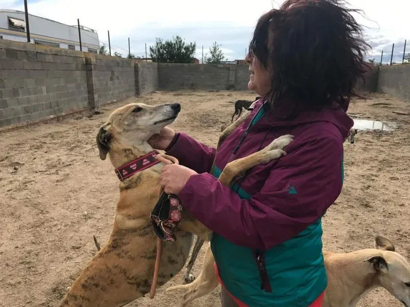 received 1474776312574398