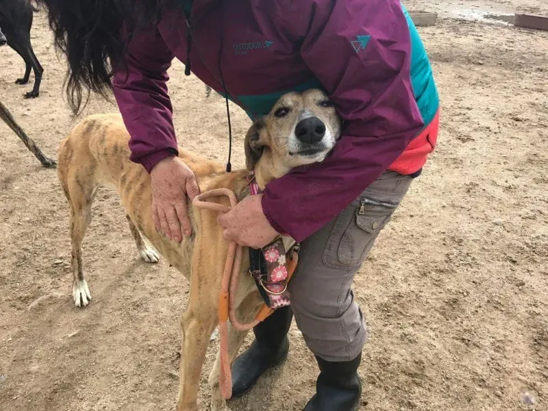 received 1474776385907724