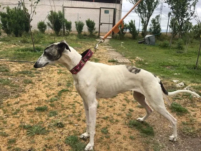 received 1475020962549933